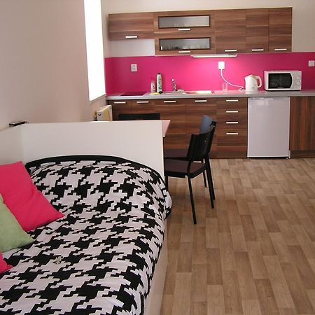 Apartment Třeboň Cameră foto