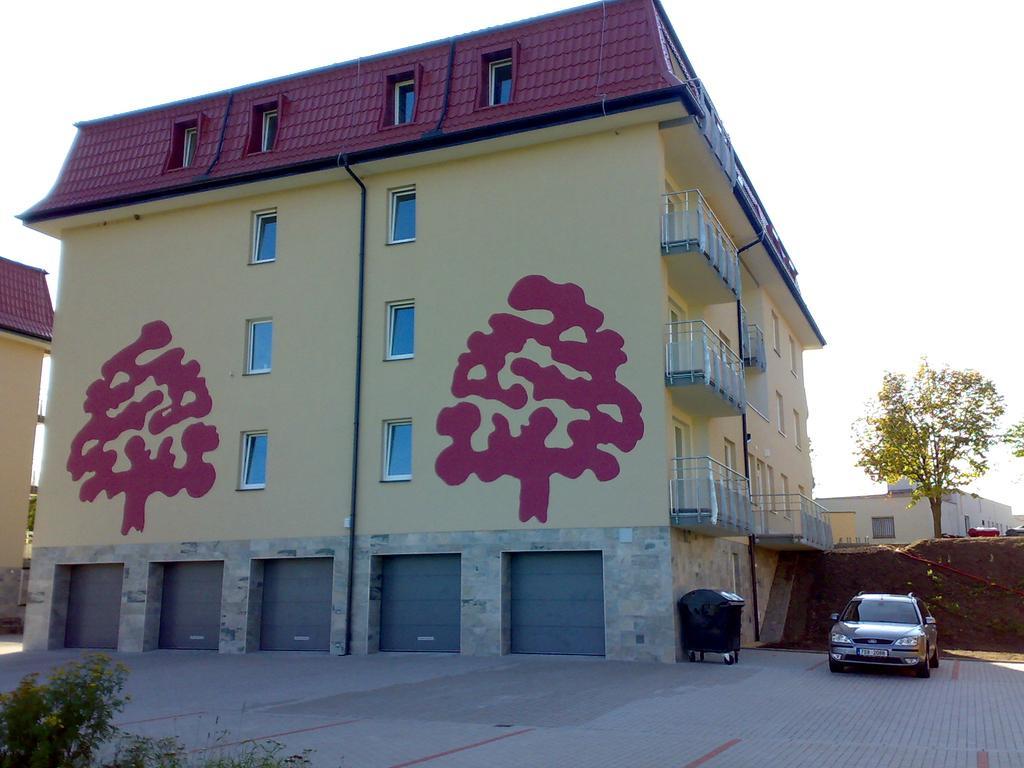 Apartment Třeboň Cameră foto