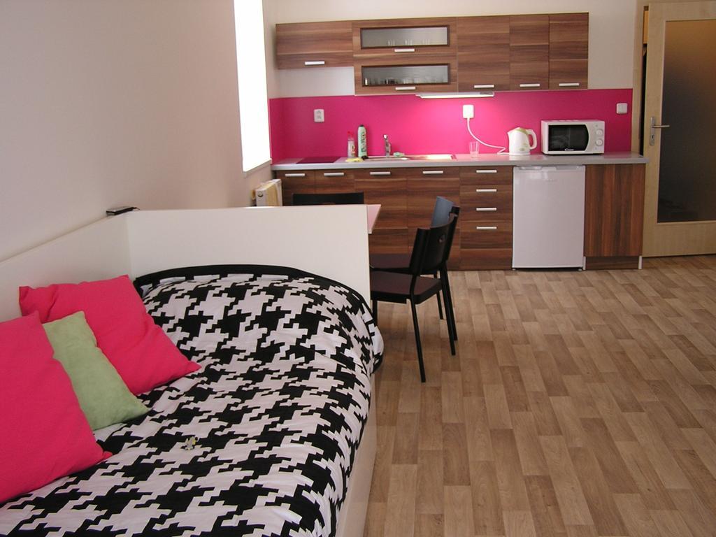 Apartment Třeboň Cameră foto